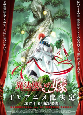 imagetheancientmagusbride